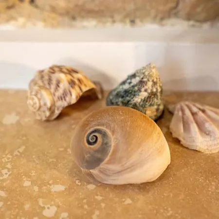 Appartamento L'antica Voltina Nettuno